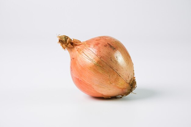 Healthy and fresh tasty vegetables onion