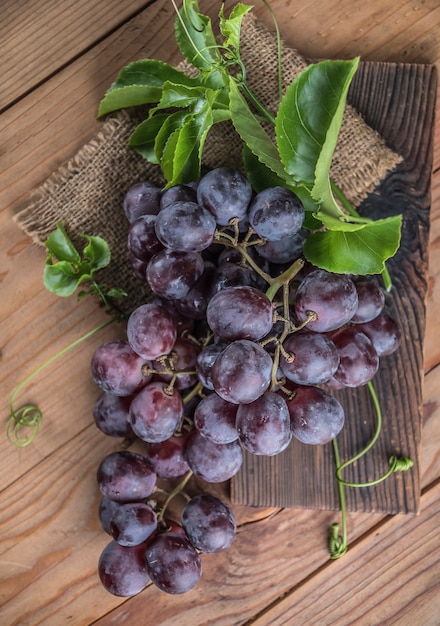 Foto frutti sani uve rosse in vigna,