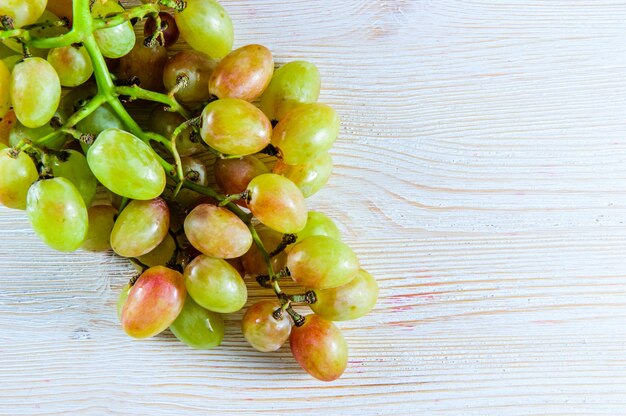 Foto frutti sani uve da vino rosso e bianco in vigna, uve scure uve blu