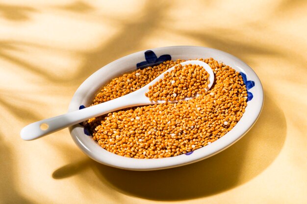 Healthy grains of red millet served in a plate on yellow background