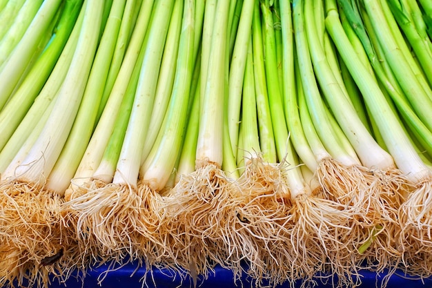 食料品店の健康的な緑と新鮮な野菜ネギ