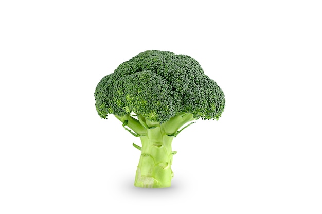 Healthy green organic raw broccoli florets isolated