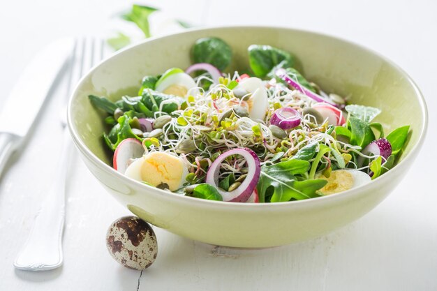 Healthy green salad with onion quail egg and sprouts