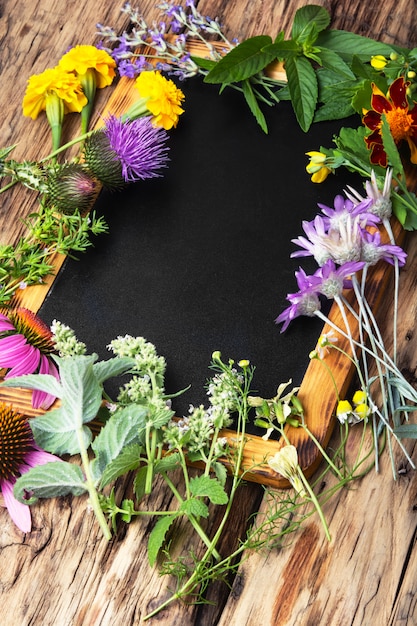 Healthy herbs and flower