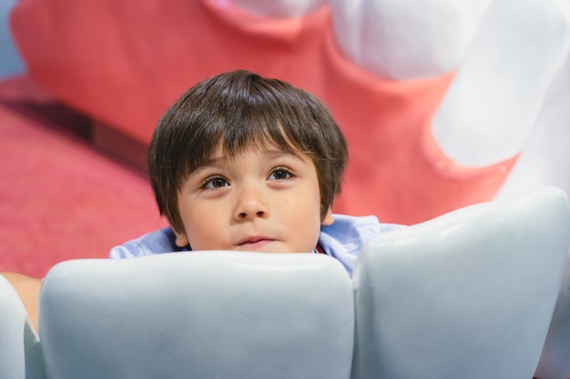 Healthy kid sitting inside of whhite teeth model