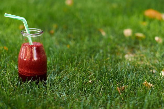 여유 공간이있는 여름 잔디에 건강한 붉은 해독 음료. 야외에서 신선한 비트 스무디 항아리