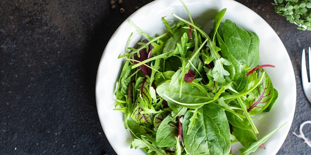 건강한 샐러드 녹색 신선한 상추 근대 잎 arugula 시금치 빙산 로마노 믹스 샐러드