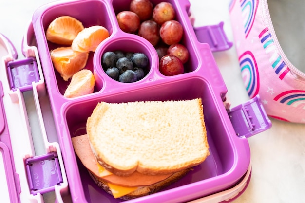 Healthy school lunch packed in a bento box for a little girl.