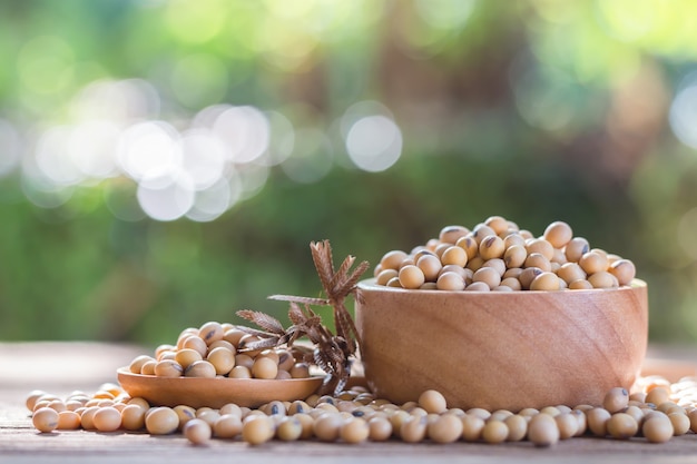 Healthy soybean on wooden floor, wooden cup, wooden spoon together as a group, copy space