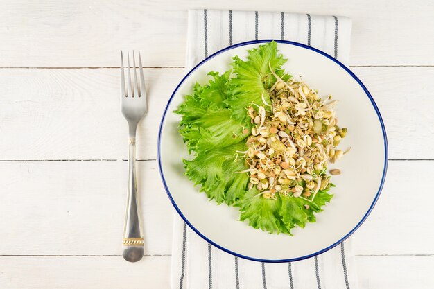 健康的な発芽レンズ豆の豆サラダ。生の有機食品。