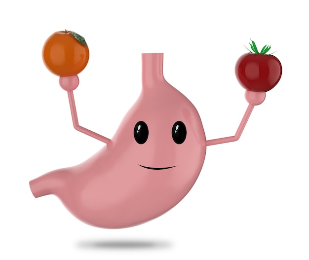 Photo healthy stomach concept with 3d rendering stomach hold fruit