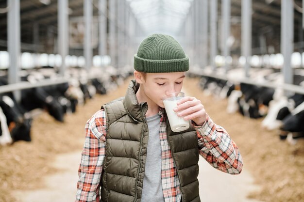 Healthy teenage boy drinking fresh milk in front of camera while standing against long aisle between large paddocks with cows in animal farm