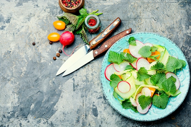 Healthy vegetable salad of nettle on plate.