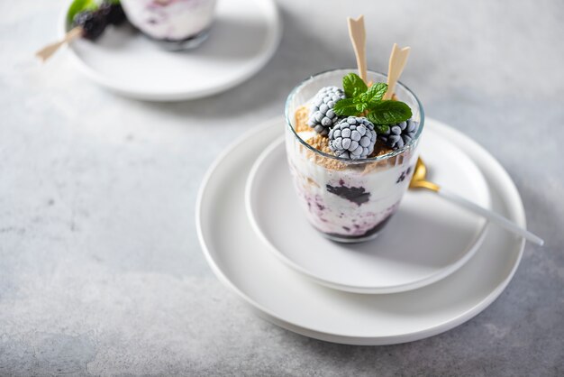 Healthy yogurt with muesli