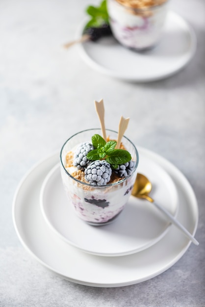 Healthy yogurt with muesli