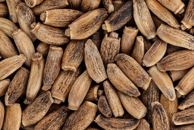 Photo heap of blessed milk thistle seeds silybum marianum closeup microscopy detail from above image width 23mm