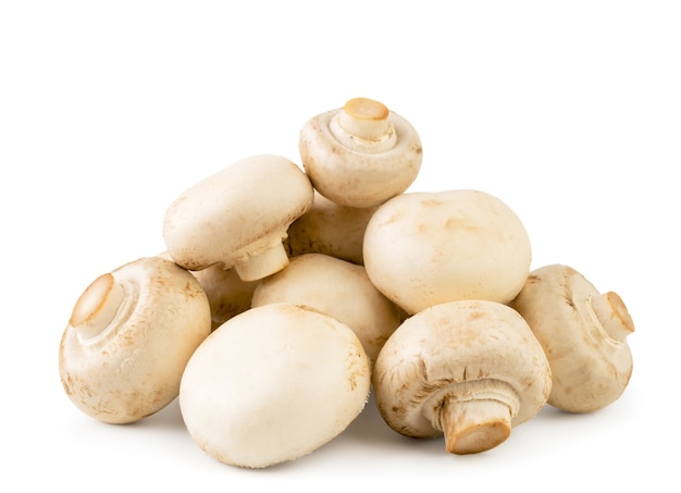 Heap champignons closeup on a white background. isolated