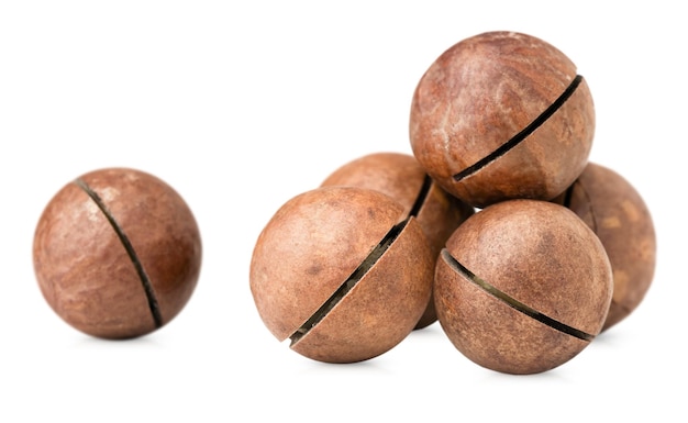 Heap of closed macadamia nut on white isolated background