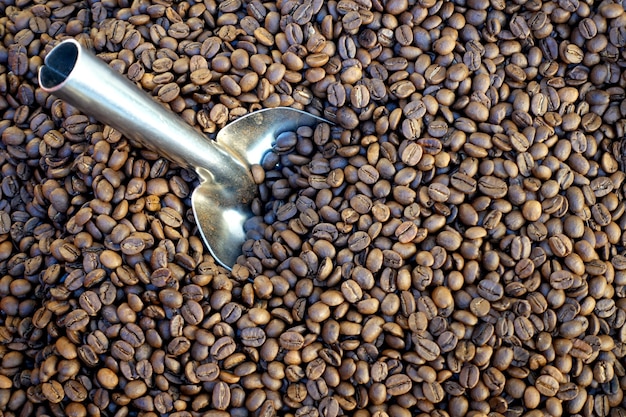 Heap of coffee beans with a spatula