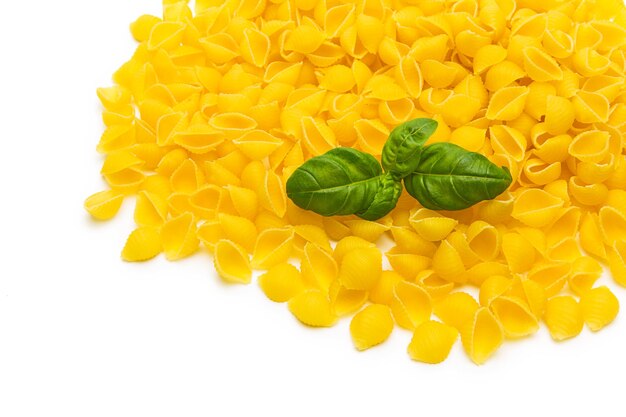 A heap of conchiglie pasta noodels with basil leaf. Taken in Studio with a 5D mark III.