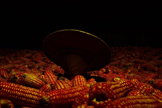 Photo heap of corns with hat