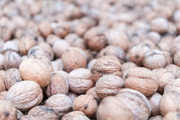 heap of dirty walnuts in shell with a blurred background