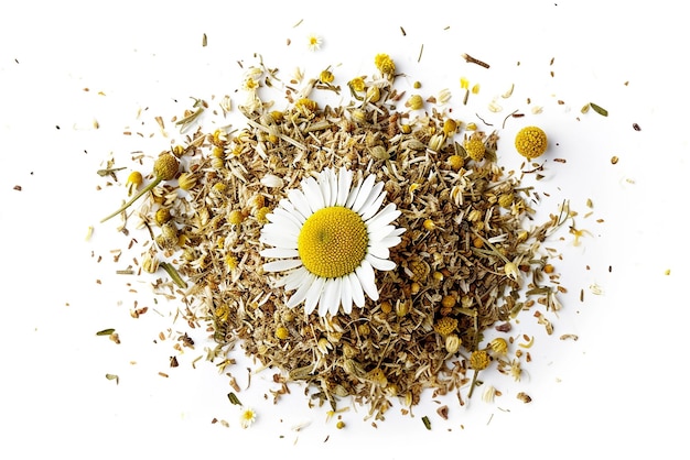 Heap of Dry Chamomile and Fresh Flower Top View on White Background Generative AI Tools Created