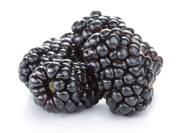 Heap of fresh blackberry