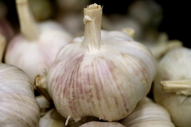 Heap of Fresh Garlic Bulbs with Selective Focus and Blurred Background