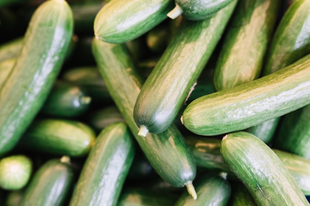 Photo heap of fresh green cucumber