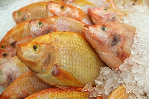 Heap of Fresh Raw Ruby Fish of Thailand on Ice at the Market