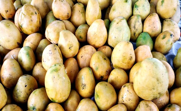 Heap of fresh ripe mangoes at market for sell