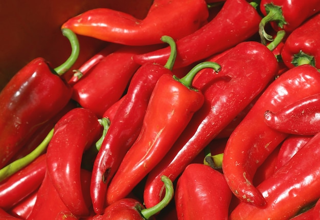 Heap of fresh ripe red sweet chili peppers for sale at the local market