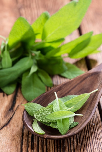 Heap of fresh Sage