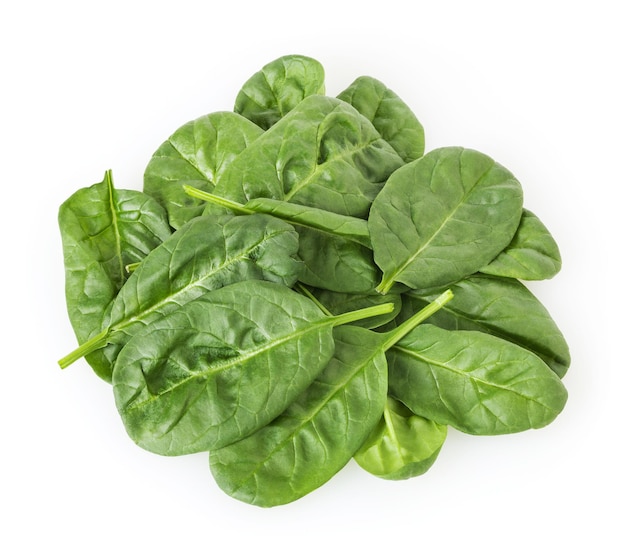 Heap of fresh spinach leafs isolated on white background