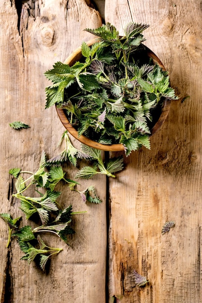 Heap of fresh young organic nettle leaves in wooden bowl on old wood background Wild plants for spring healthy vegan eating Top view