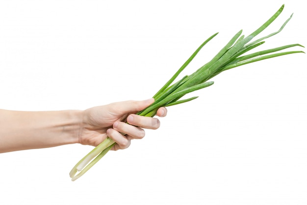 A heap of green fresh onion in men's hand isolated on white 