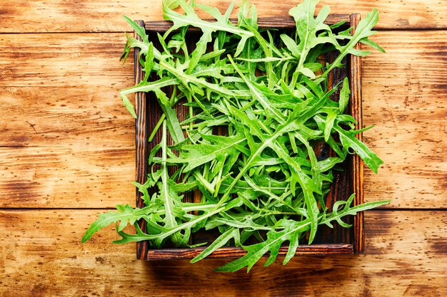 Heap of green fresh rucola or arugula leaf in wooden box.Fresh arugula salad