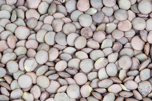 Heap of green lentil texture as background. Top view.