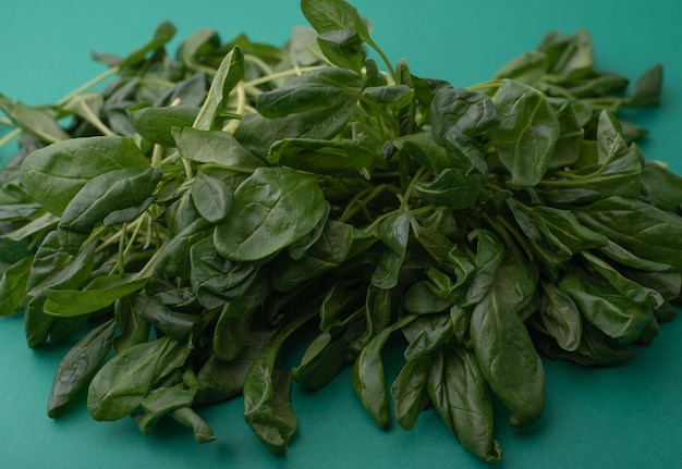 A heap of green spinach on a green background