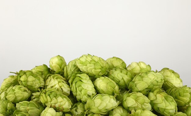 Photo heap of hop against gray background