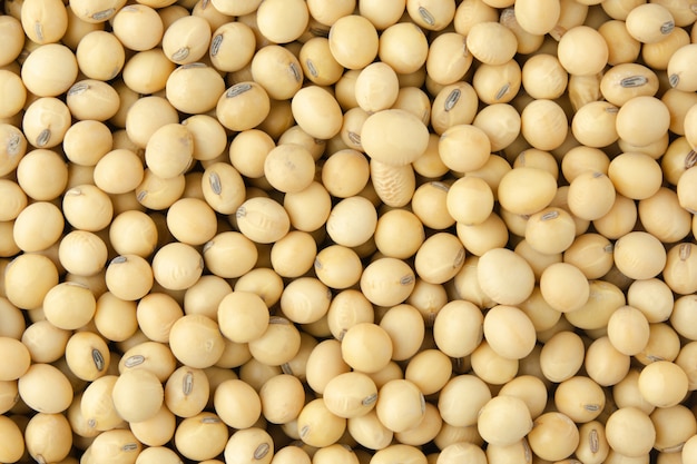 Photo a heap of nutritious soybeans