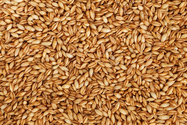 Photo heap of pearl barley grains, vegetarian food