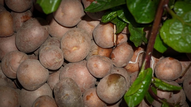 Heap of potato Potato at the market for sell