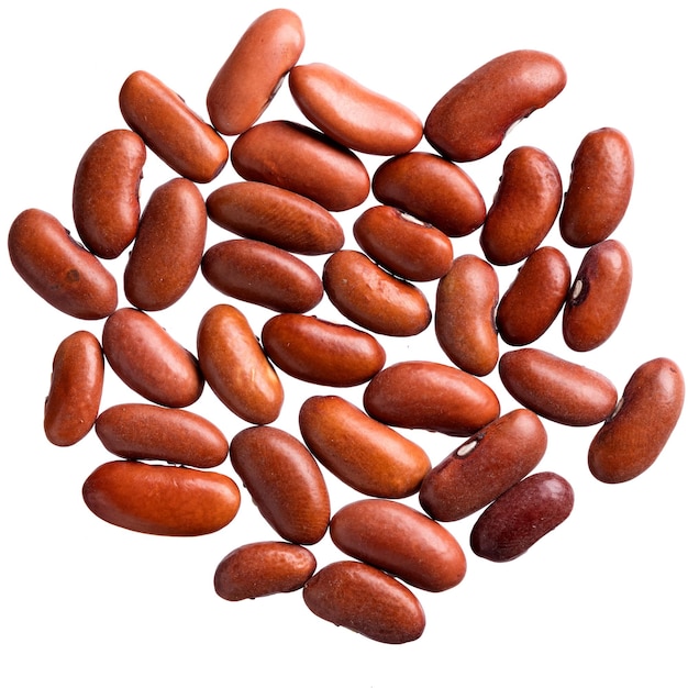 A heap of quality seeds of brown beans for your adorable garden