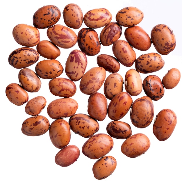 A heap of quality seeds of contrast brown beans for your adorable garden