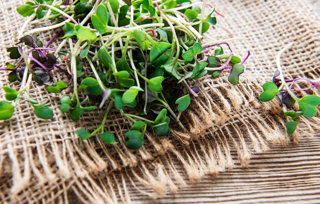 Mucchio di micro verdi ravanello su fondo in legno vecchio concetto di mangiare sano