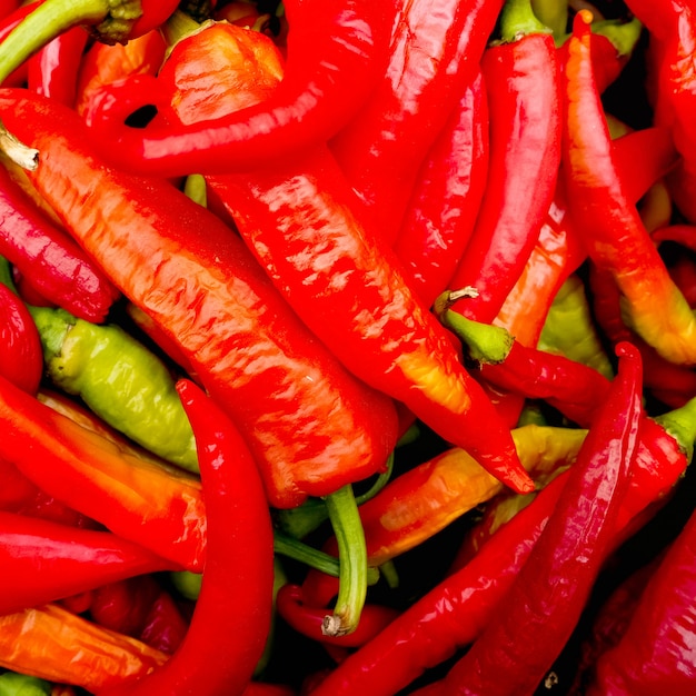 Mucchio di grandi peperoni rossi maturi al mercato di strada, peperoncino rosso rosso verde, raccolto autunnale