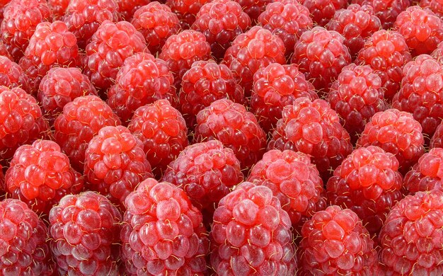 Heap of ripe raspberries. Background texture close-up