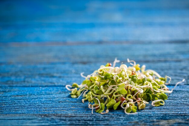 Heap of sprouted radish seeds